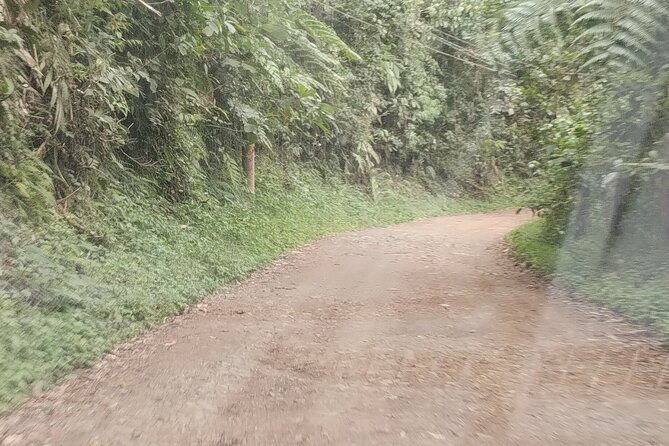 easy-birdwatching-in-cali-colombia-4-hours