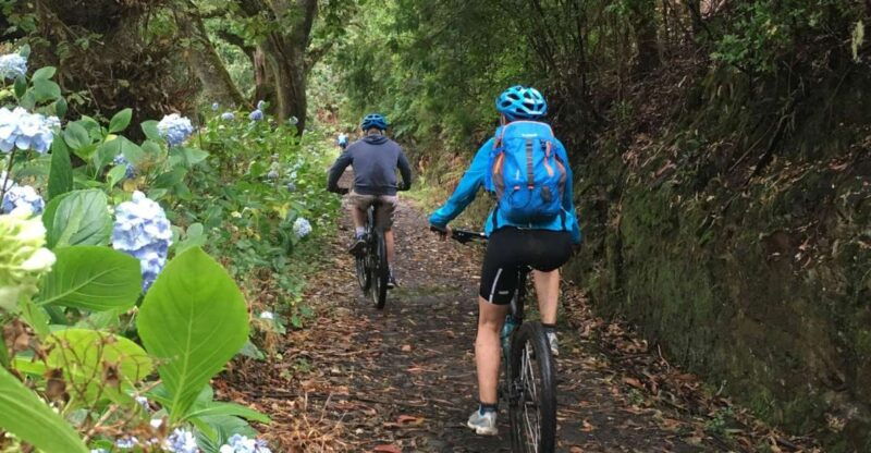 easy-levada-biking-tour-3