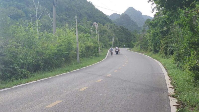 Easy Rider Cat Ba - National Park & Caving 1.5 hours - Who Would Love This Tour?