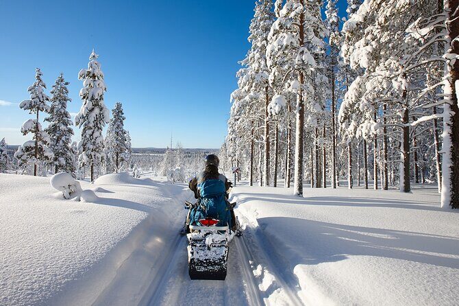 Easy Snowmobile Safari - The Experience: Authentic, Fun, and Scenic