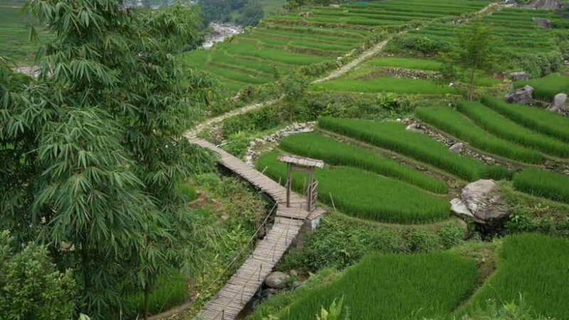 Easy Trek in Sapa mountain : Y Linh Ho - Lao Chai - Ta Van - In-Depth Review