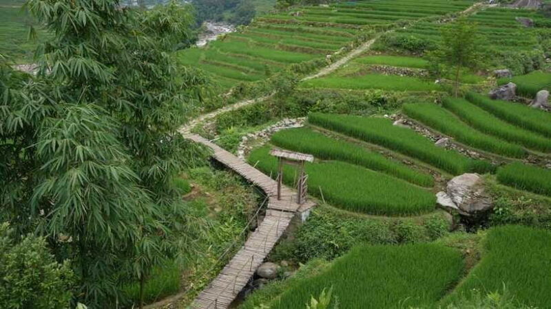 Easy Trek in Sapa mountain : Y Linh Ho - Lao Chai - Ta Van - FAQ
