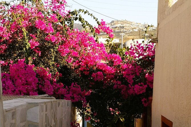 easy-walks-in-santorini-private-half-day-tour-2