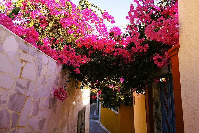 easy-walks-in-santorini-private-half-day-tour-2