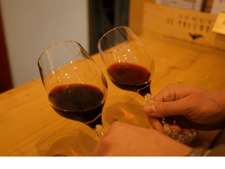 easy-wine-tasting-in-turin-city-center