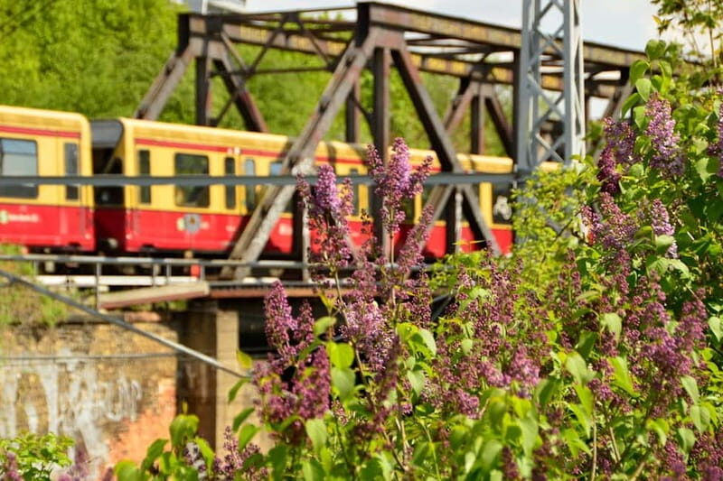 EasyCityPass Berlin: Zone AB Public Transport and Discounts - Family and Convenience Features