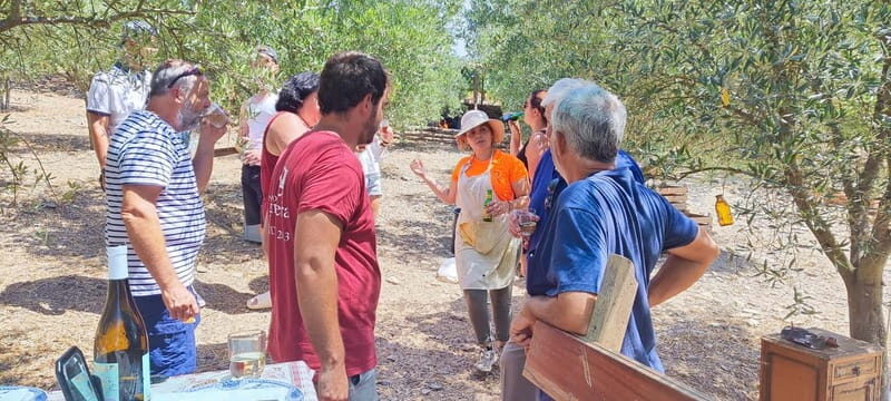 Eat in the vineyards like a Duriense - Key Points