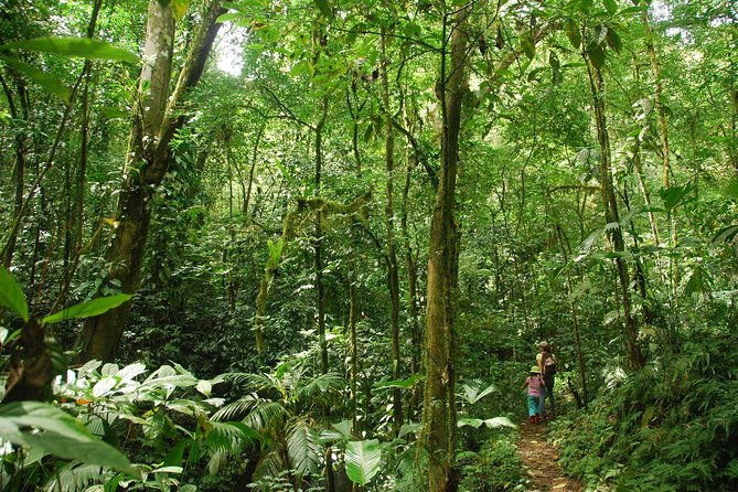 ebano-waterfalls-and-rainforest-safari-tour