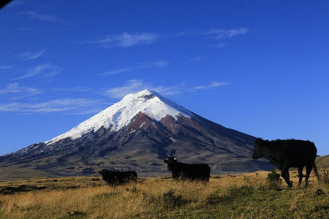 ebike-around-cotopaxi-volcano