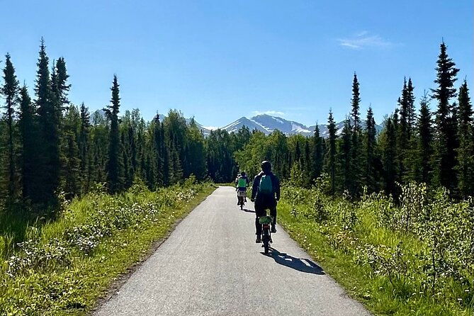 ebike-art-and-trails-guided-tour-of-anchorage