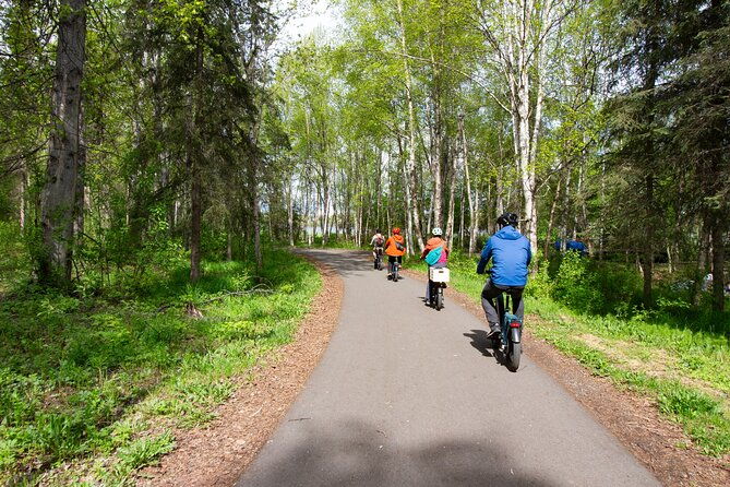 ebike-art-and-trails-guided-tour-of-anchorage