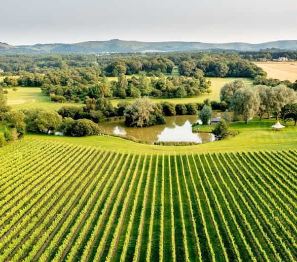 ebike-tour-albourne-estate-wine-tasting-and-downs-ebiking