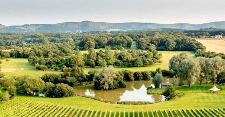 ebike-tour-albourne-estate-wine-tasting-and-downs-ebiking