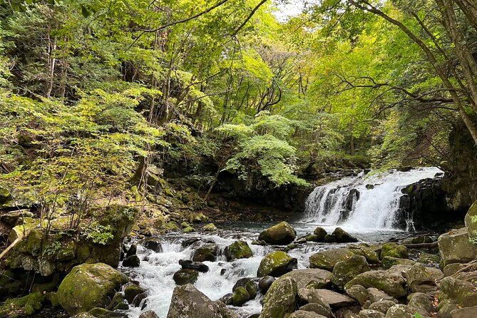 ebike-tour-in-lake-shirakaba-and-tateshina-highland-japan