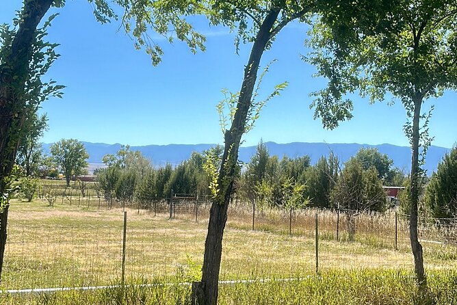 ebike-winery-tour-in-penrose-colorado-penrose-uncorked