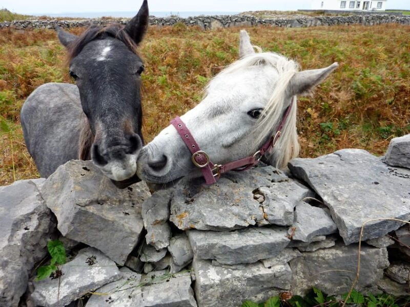 ebiking-on-inishmore-island-aran-islands-self-guided