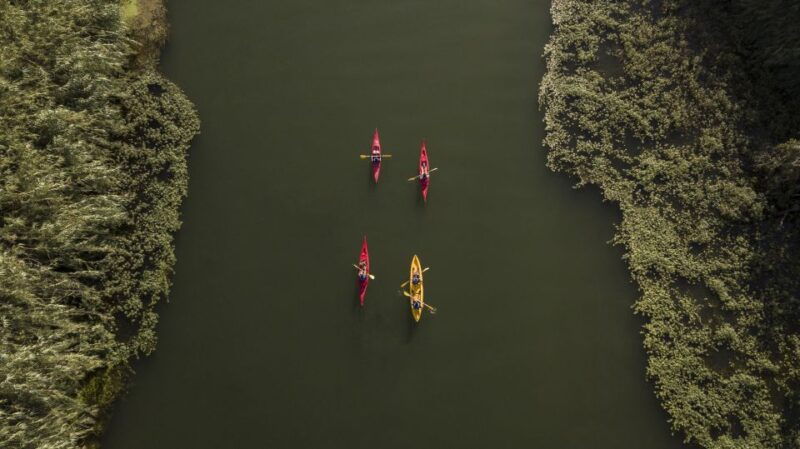 ebro-delta-guided-kayak-tour-to-gracia-island