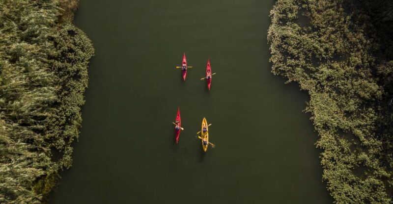 ebro-delta-guided-kayak-tour-to-gracia-island