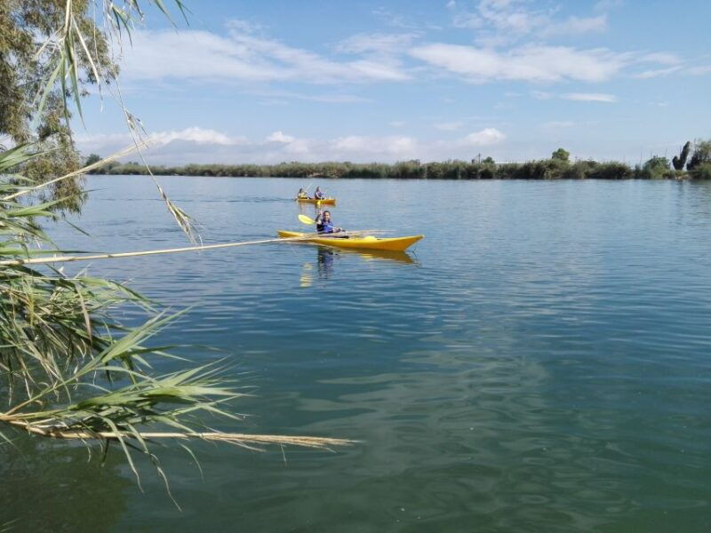 ebro-delta-guided-kayak-tour-to-gracia-island
