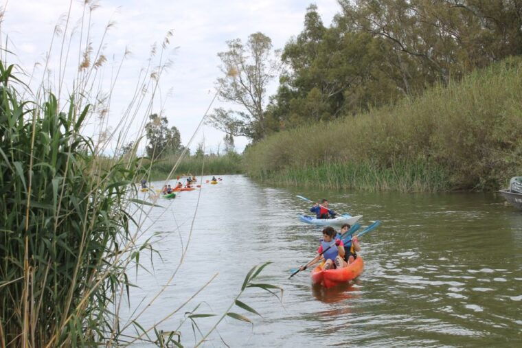 ebro-delta-guided-kayak-tour-to-gracia-island