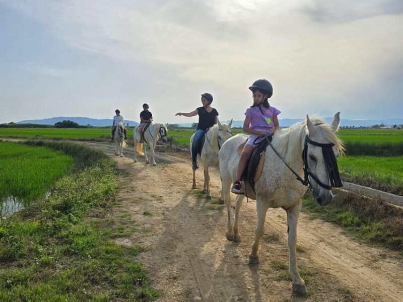 ebro-delta-national-park-guided-horseback-riding-tour