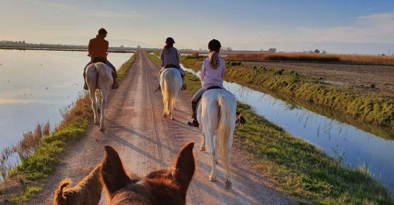 ebro-delta-national-park-guided-horseback-riding-tour