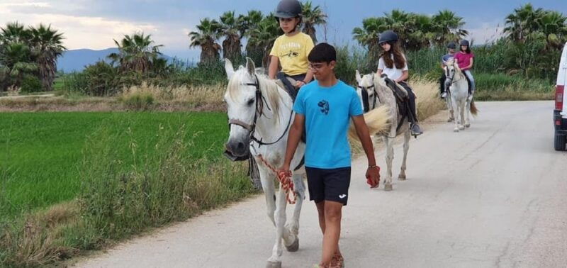 ebro-delta-national-park-guided-horseback-riding-tour