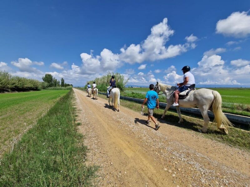 ebro-delta-national-park-guided-horseback-riding-tour