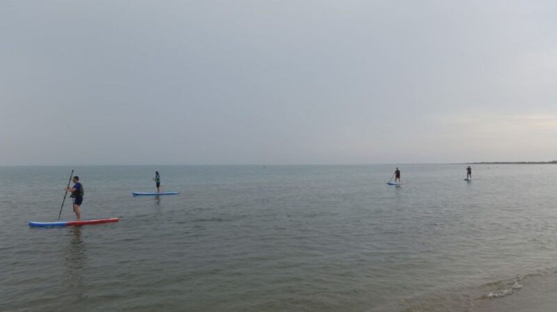 ebro-delta-national-park-scenic-drive-and-kayaking-tour