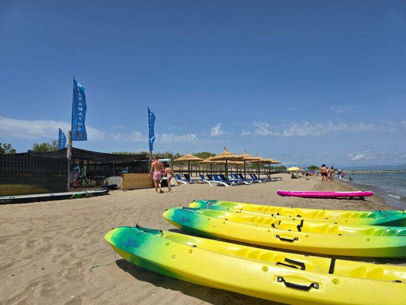 ebro-delta-national-park-scenic-drive-and-kayaking-tour