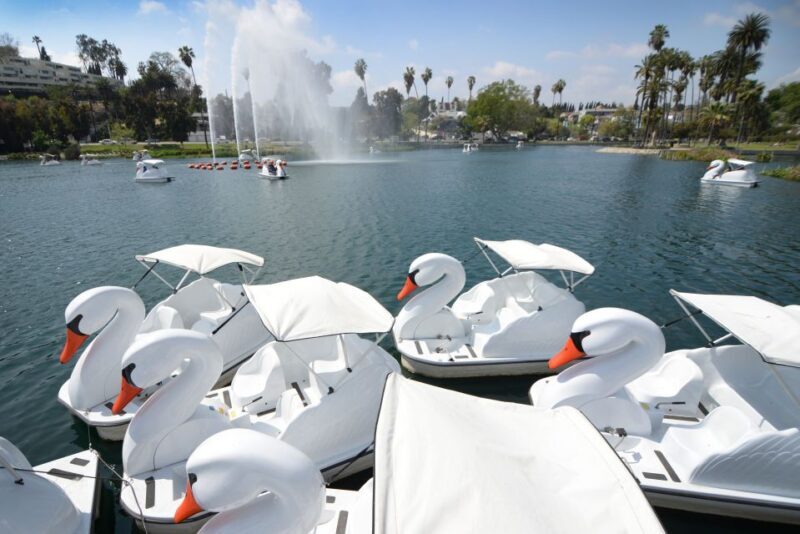 Echo Park Lake: Swan Pedal Boat Rental - An In-Depth Look at Echo Park Lake Swan Pedal Boat Rental