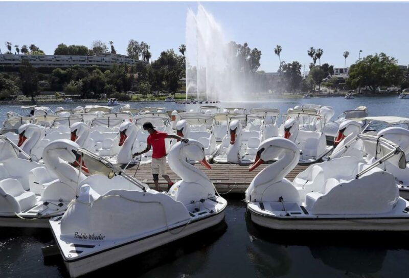 echo-park-lake-swan-pedal-boat-rental