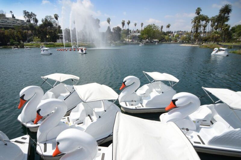 echo-park-lake-swan-pedal-boat-rental