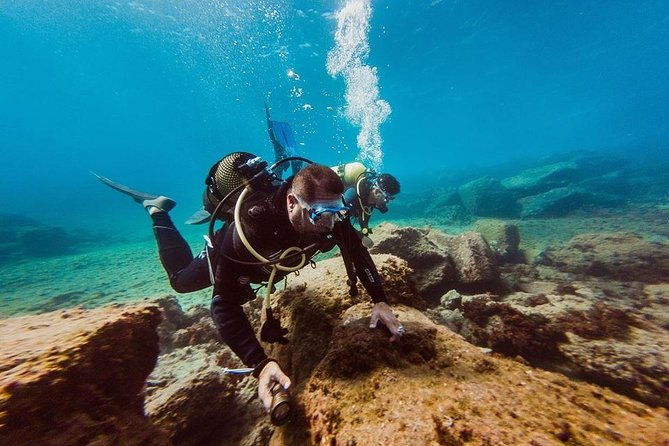 eco-adapted-diving-in-tenerife