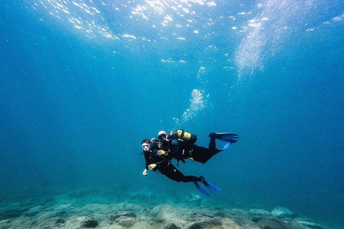 eco-adapted-diving-in-tenerife