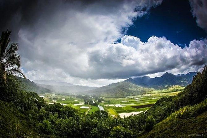 eco-adventure-friendly-aloha-island-tour