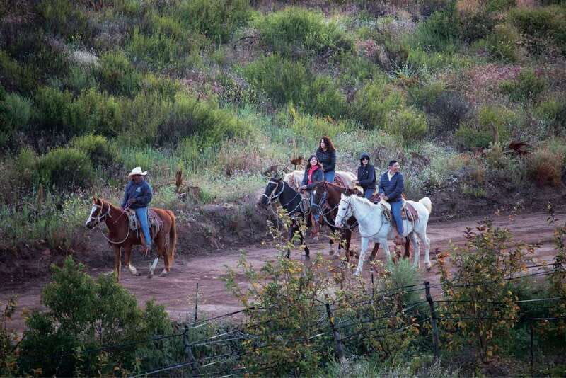 eco-canyon-horseback-riding-excursion