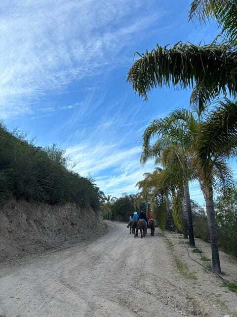 eco-canyon-horseback-riding-excursion