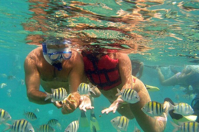 eco-exploration-golf-cart-adventure-and-catamaran-cruise