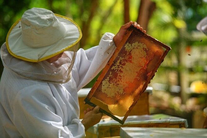 eco-exploration-golf-cart-adventure-and-catamaran-cruise