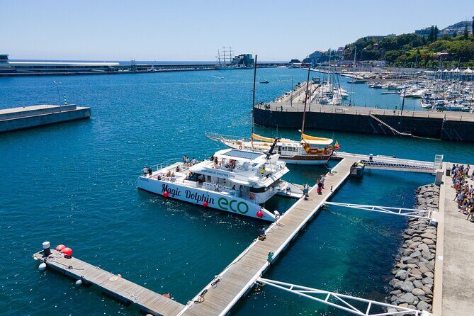 Eco-Friendly Catamaran Dolphin and Whale Watching - FAQ