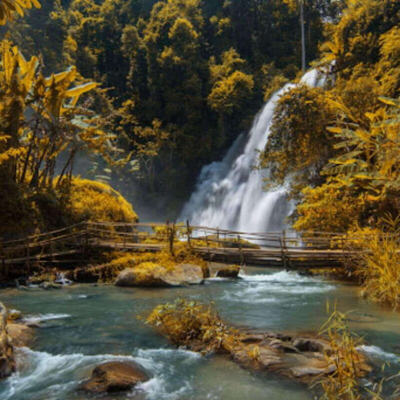 eco-friendly-doi-inthanon-pha-dok-siew-trekking-day-trip