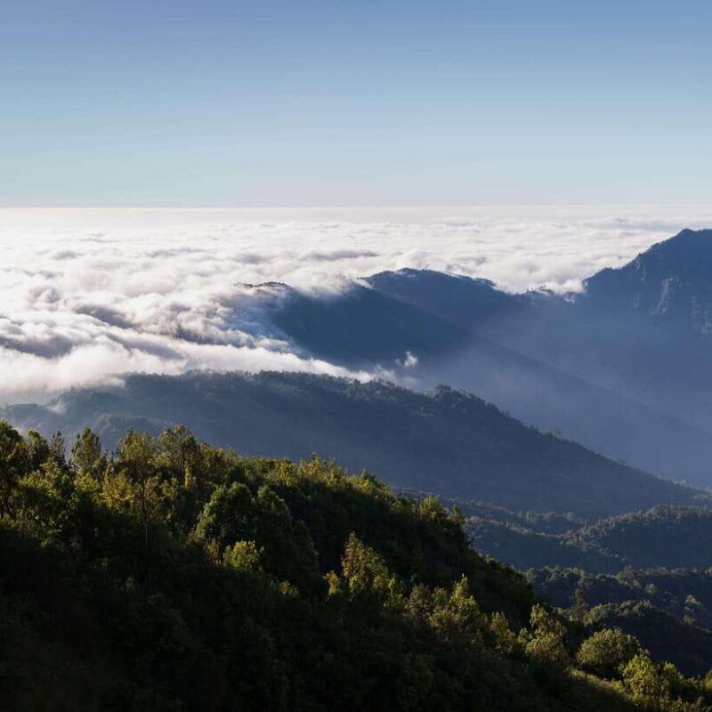 eco-friendly-doi-inthanon-pha-dok-siew-trekking-day-trip