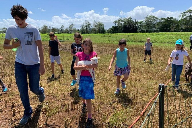 eco-friendly-farming-tour-to-explore-dorados-most-beautiful-farm