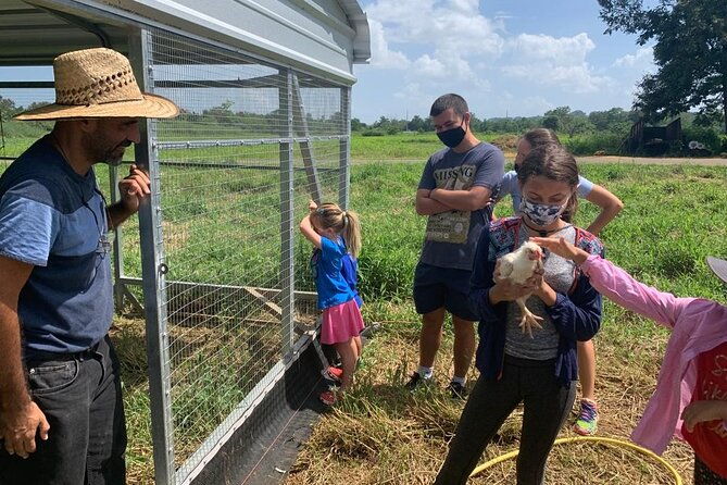 eco-friendly-farming-tour-to-explore-dorados-most-beautiful-farm