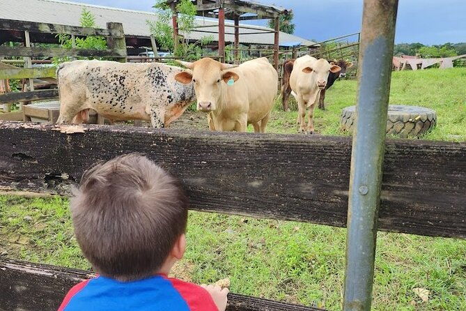 eco-friendly-farming-tour-to-explore-dorados-most-beautiful-farm