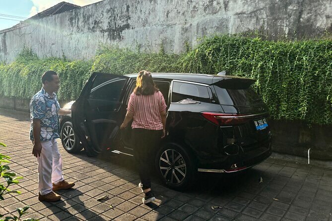 Eco Friendly Premium Electric Vehicle Airport Transfers - Pricing and Value