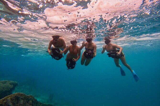 Eco Friendly Sea Scooter Turtle Tour in Rarotonga - The Itinerary: What to Expect