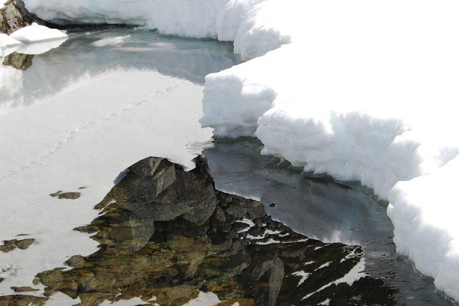 eco-friendly-snowshoeing-in-scenic-landscape