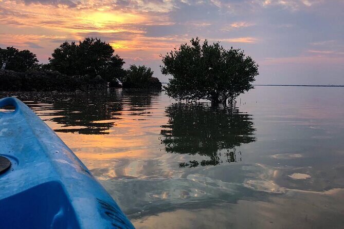 Eco Kayaking Adventure  Mangrove Exploration at Purple Island - An Introduction to Purple Island’s Eco Kayaking Experience